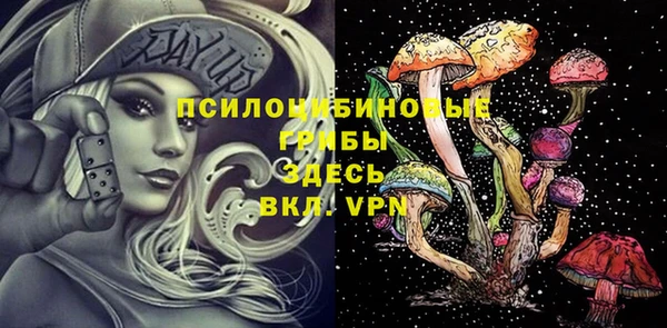 PSILOCYBIN Аша