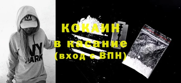 прущие грибы Бежецк