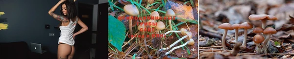 экстази Белая Холуница