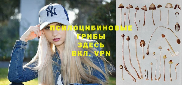 бутират Алексин