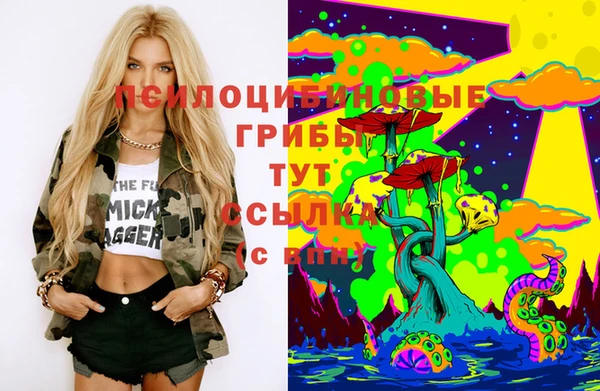 эйфоретик Ахтубинск