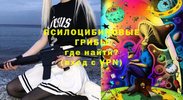 прущие грибы Бежецк