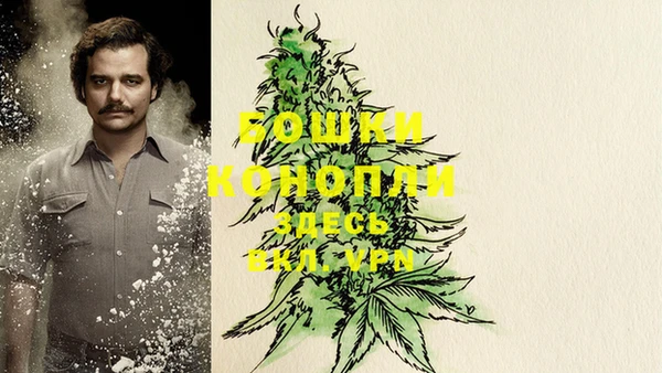прущие грибы Бежецк