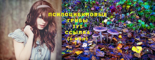 бутират Бабаево