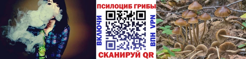 где купить наркоту  Инза  Псилоцибиновые грибы Magic Shrooms 
